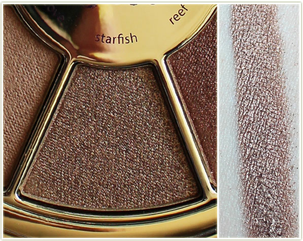 tarte - starfish