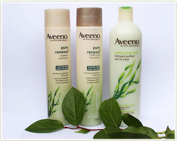 Aveeno Pure Renewal Shampoo + Conditioner and Purifying Body Wash in Sea Kelp + Nourishing Oatmeal