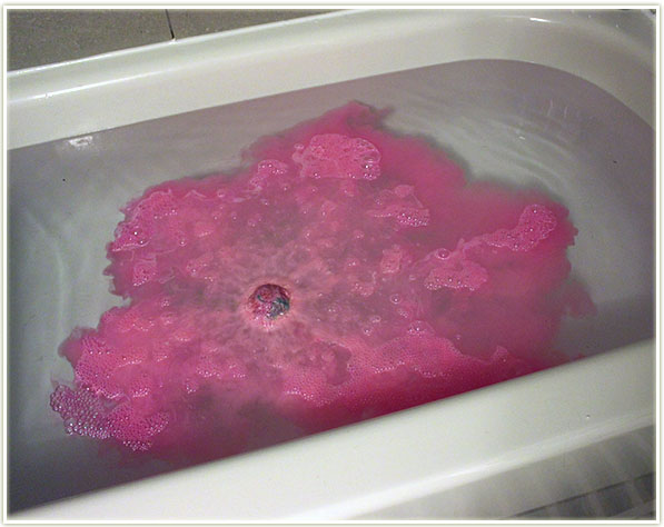 Lush Rose Bombshell Bath Bomb