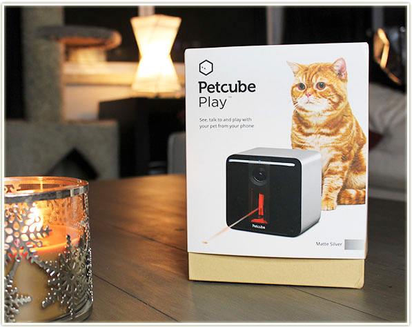 Petcube Play