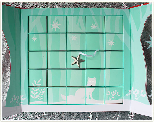 DAVIDsTEA 24 Days of Tea Advent Calendar