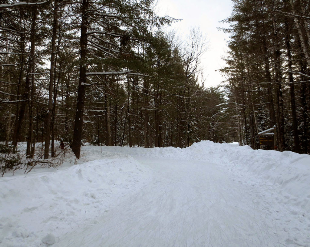 Arrowhead Provincial Park Skating Trail